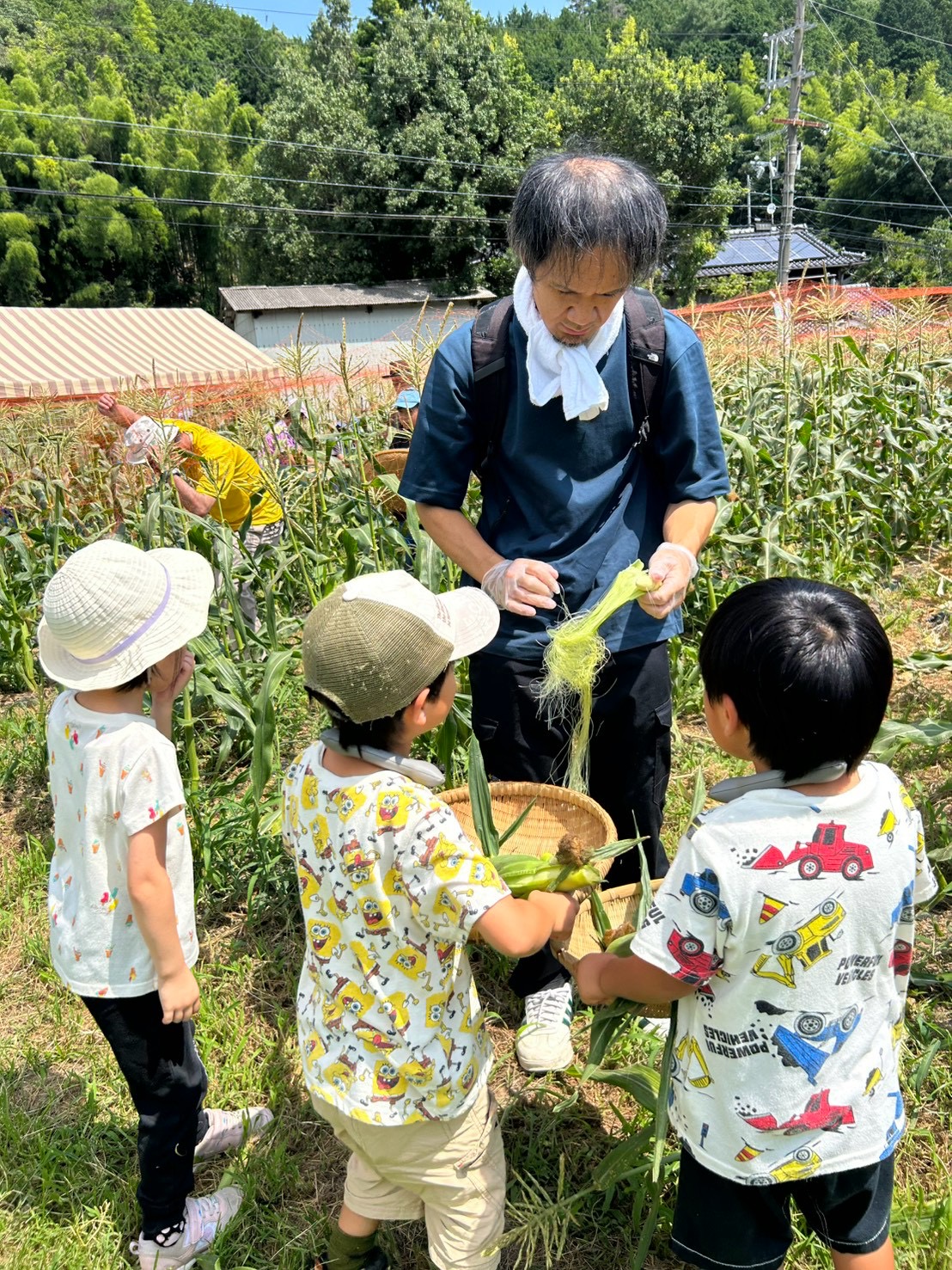 8月2日「とうもろこし収穫祭」を開催いたしました